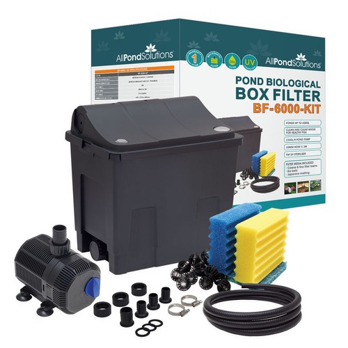 Small box fish pond - small,