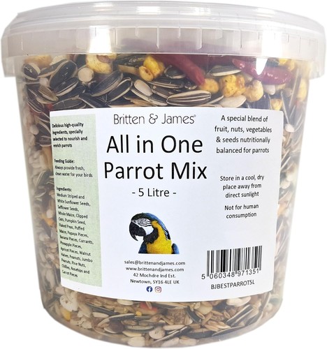 Best all one parrot - best,