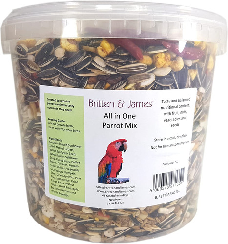Best all one parrot - best, mix