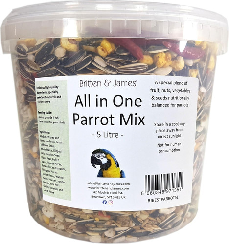 Best all one - one, parrot